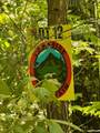 Lot 12 Paradise - Photo 4
