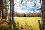 3520 Mistletoe Rd Road - Photo 10