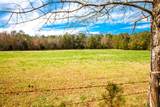 3520 Mistletoe Rd Road - Photo 11