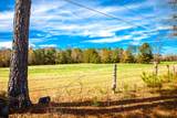 3520 Mistletoe Rd Road - Photo 12