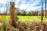 3520 Mistletoe Rd Road - Photo 3