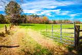 3520 Mistletoe Rd Road - Photo 5