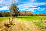3520 Mistletoe Rd Road - Photo 6