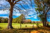3520 Mistletoe Rd Road - Photo 8