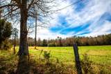3520 Mistletoe Rd Road - Photo 9