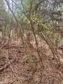 0 Robinson Drive - Photo 6