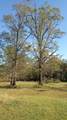 TBD2 Sc-23 - Photo 40