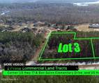 Tract 3 M L King Jr Boulevard - Photo 5