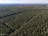 40 Acres Haw Branch Road - Photo 2