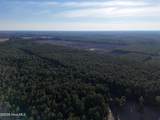 40 Acres Haw Branch Road - Photo 4