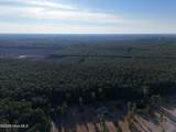 40 Acres Haw Branch Road - Photo 5