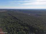 40 Acres Haw Branch Road - Photo 6