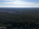 40 Acres Haw Branch Road - Photo 7