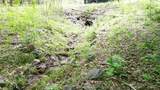 00 Tracks Hollow - Photo 10