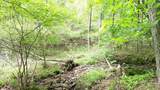 00 Tracks Hollow - Photo 14