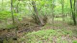 00 Tracks Hollow - Photo 15