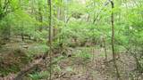 00 Tracks Hollow - Photo 25