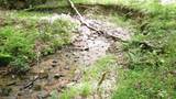 00 Tracks Hollow - Photo 48