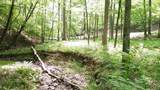 00 Tracks Hollow - Photo 49