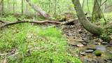 00 Tracks Hollow - Photo 6