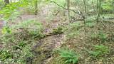 00 Tracks Hollow - Photo 7