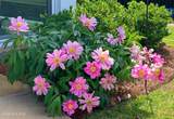 2170 Talmage Drive - Photo 46