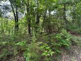 Lot 31 Peak Trail - Photo 1