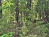 Lot 31 Peak Trail - Photo 2