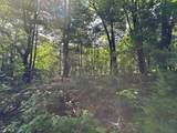 Lot 31 Peak Trail - Photo 4