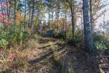 26/27 Bear Ridge Trail - Photo 10