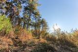 26/27 Bear Ridge Trail - Photo 15