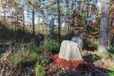 26/27 Bear Ridge Trail - Photo 8