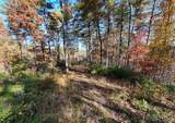 26/27 Bear Ridge Trail - Photo 9