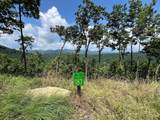 Lot 183 Skyline View Drive - Photo 2