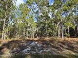 585 Westwood Road - Photo 2