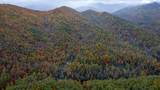 139 Land Iu Gap Road - Photo 1