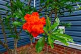 2166 Greene Street - Photo 21