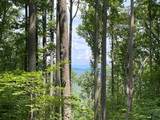 Lot 1 High Country Lane - Photo 2