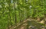 Lot 1 High Country Lane - Photo 4