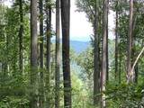 Lot 1 High Country Lane - Photo 5