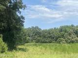 16.9 Ac Rowland-York Drive - Photo 2