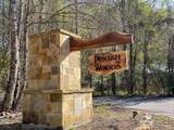 52 Bear Track Road - Photo 37