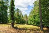 Lot 20 Loftis Mountain Way - Photo 4