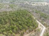 2687 Big Dog Trail - Photo 13
