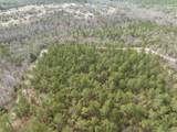 2687 Big Dog Trail - Photo 14