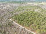 2687 Big Dog Trail - Photo 15