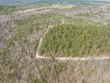 2687 Big Dog Trail - Photo 16