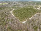 2687 Big Dog Trail - Photo 17