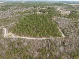 2687 Big Dog Trail - Photo 18