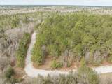2687 Big Dog Trail - Photo 2